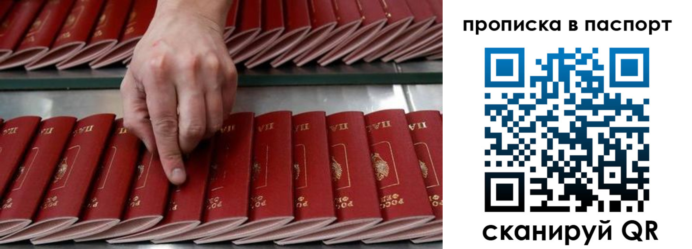 регистрация для школы в Мурино